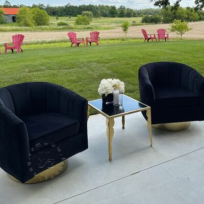Luxury Royal Queen King Throne Single Sofa Chair for Hotel Modern Design for Living Room or Outdoor Use-Cassidy Lounge Chair